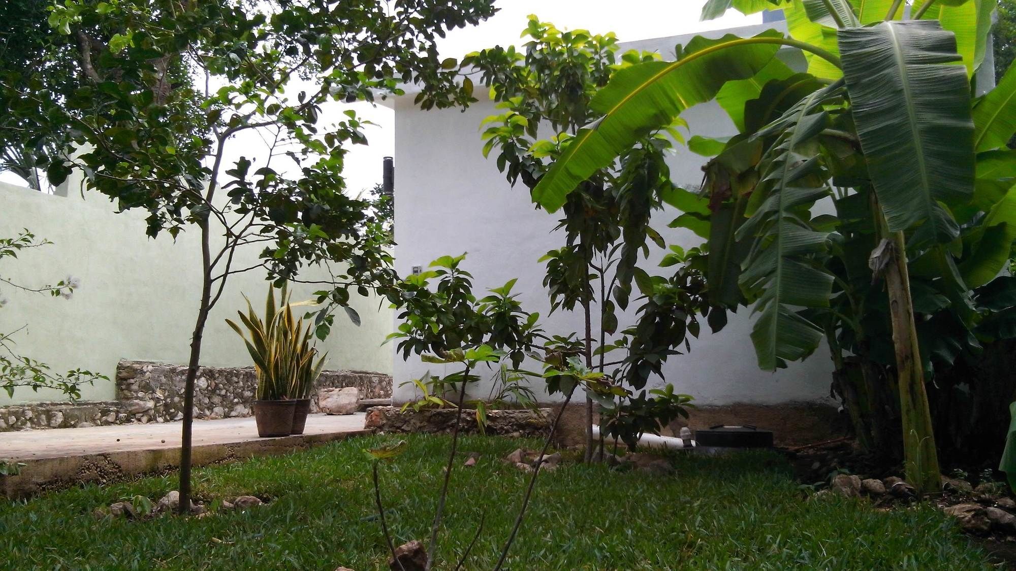 Hotel Casa Del Aire à Mérida Extérieur photo